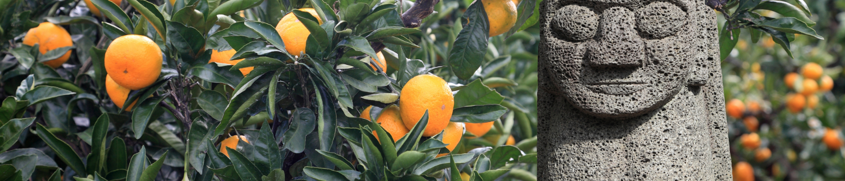 food-header_banner