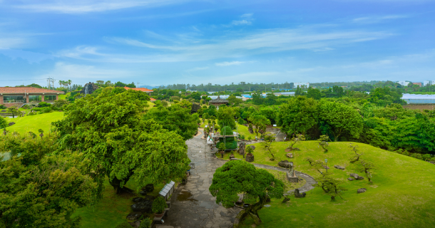 overview_img03