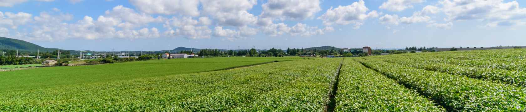 touristspot-header_banner